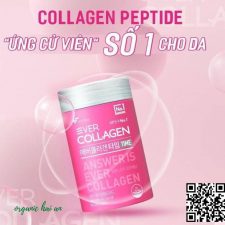 Collagen dạng bột Ever Collagen